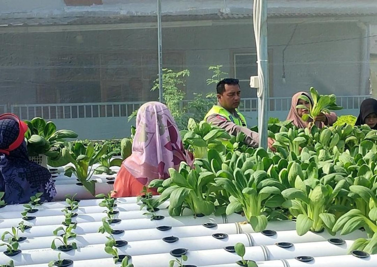 Bhabinkamtibmas Desa Kletek Cek Green House Ketahanan Pangan