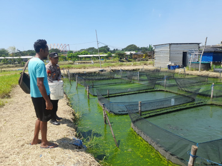 Humanis, Bhabinkamtibmas Trosobo Penggerak Ketahanan Pangan Bantu Beri Pakan Ikan Lele