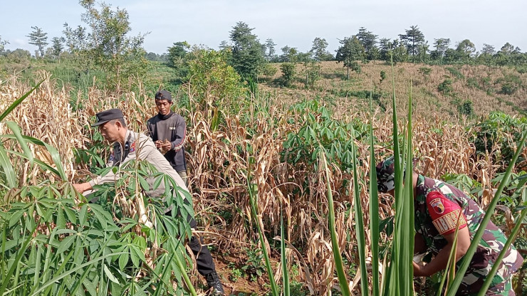 Bhabinkamtibmas Polres Pasuruan Jadi Motor Penggerak Ketahanan Pangan