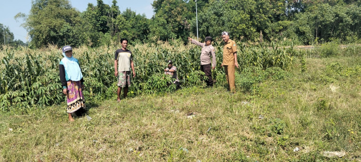 Polisi dan Petani Tulangan Dukung Ketahanan Pangan