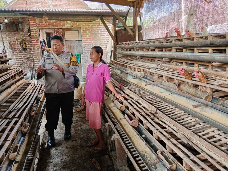 Bhabinkamtibmas Desa Lajuk Dukung Warga Tingkatkan Produksi Ayam Petelur untuk Ketahanan Pangan