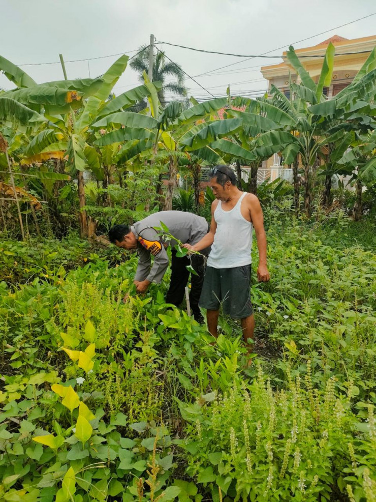 POLRESTA SIDOARJO | Solid untuk Ketahanan Pangan, Polisi di Gedangan Bersama Petani Kembangkan Pekarangan Bergizi