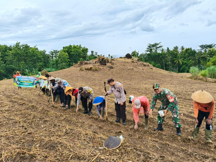 Polresta Banyuwangi Bersama Kelompok Tani Tanam Jagung Serentak Gelorakan Swasembada Pangan