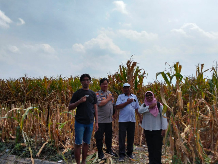 Kanit Binmas Polsek Prambon bersama Perangkat Desa Silaturahmi ke Petani Jagung, Dukung Ketahanan Pangan