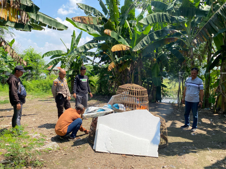 Dapatkan Laporan Masyarakat, Polsek Sedati Datangi Tempat Perjudian Sabung Ayam