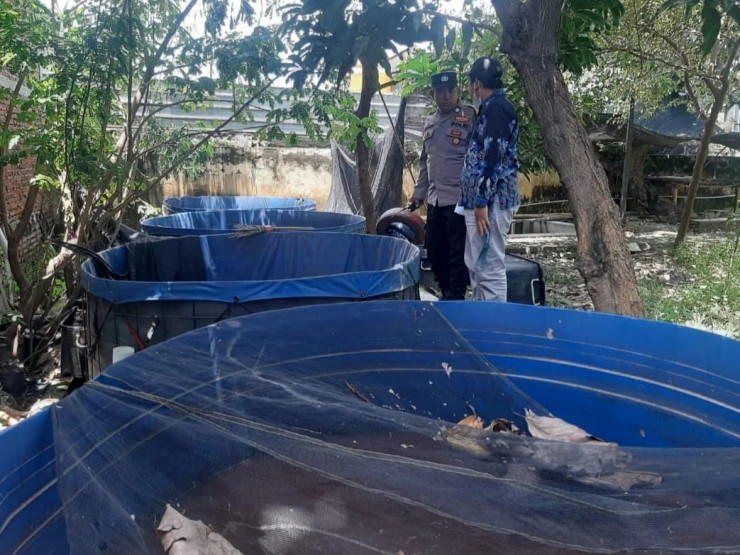 Bhabinkamtibmas Wedoro Dukung Ketahanan Pangan Lewat Budidaya Ikan Patin di Lahan Kosong