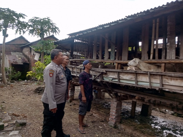 Bhabinkamtibmas Desa Sepande Dampingi Peternak Kambing dalam Program P2B, Dukung Swasembada Pangan Mandiri