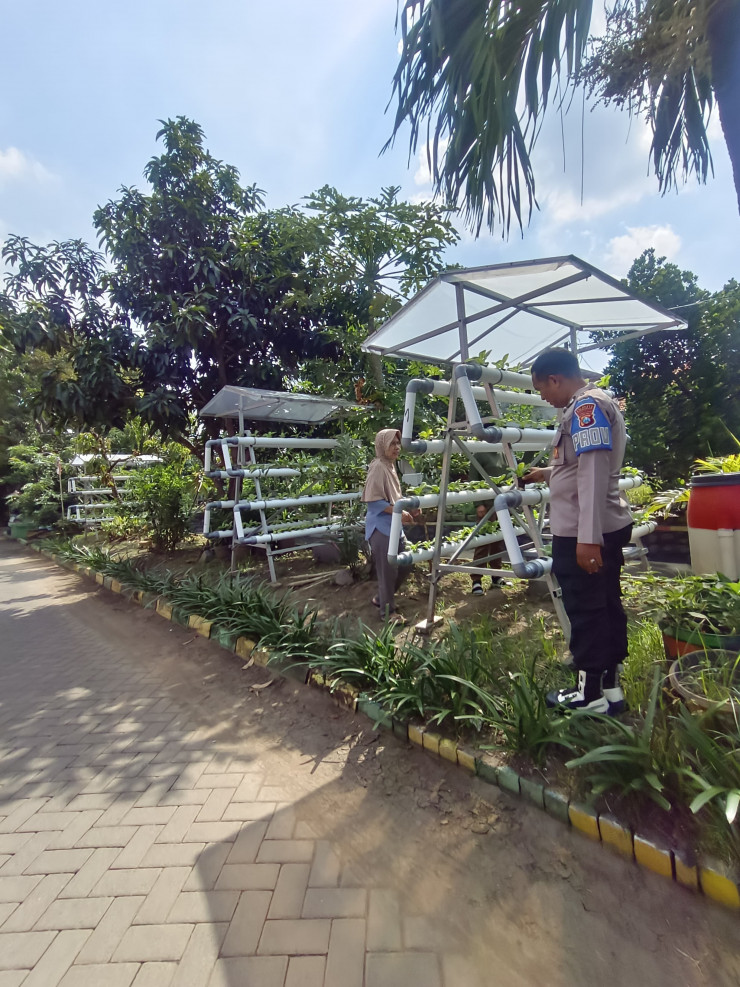 Bhabinkamtibmas Desa Sumorame Bersinergi dengan Ketua Bumdes Giatkan Tanaman Sawi Hidroponik