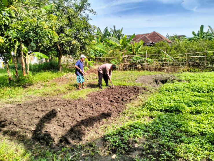 Bhabinkamtibmas Desa Jiken Cek Perkembangan Program Ketahanan Pangan Tanaman Sayuran
