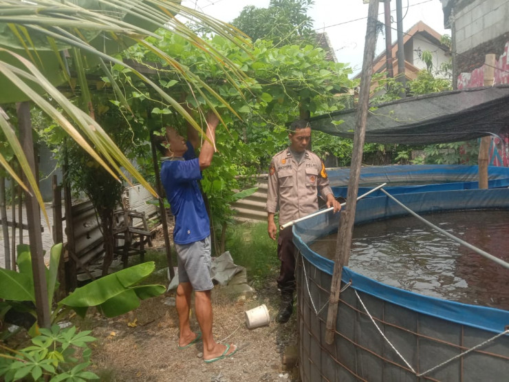 Polsek Sedati Apresiasi Warga Pranti Manfaatkan Lahan Kosong untuk Budidaya Lele
