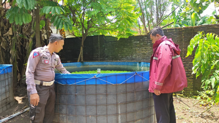 Polsek Wonoayu Cek Budidaya Ikan Mujaer Wujudkan Ketahanan Pangan Polresta Sidoarjo