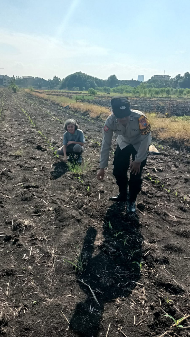 Polsek Taman Masifkan Bhabinkamtibmas Turut Pantau Gerakan Ketahanan Pangan Petani