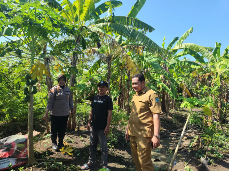 Polsek Gedangan bersama Perangkat Desa Punggul Tinjau Lahan Ketahanan Pangan Buah