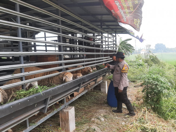 Bhabinkamtibmas Sidomojo Ajak Warga Maksimalkan Perawatan Ternak Kambing Demi Dukung Ketahanan Pangan