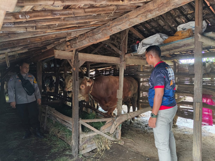 Bhabinkamtibmas Kebonagung Tinjau Kandang Sapi Warga, Dukung Ketahanan Pangan Mandiri